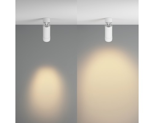 Потолочный светильник Technical C055CL-L12W2.7K-Z-W