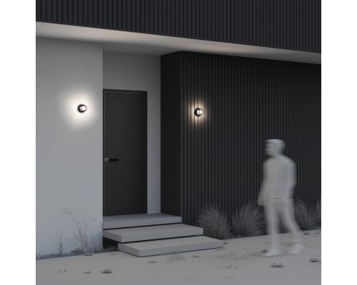 Настенный светильник (бра) Outdoor O011WL-L6B