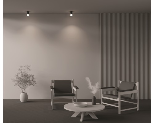 Потолочный светильник Technical C007CW-01B