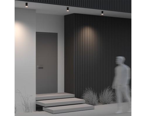 Потолочный светильник Outdoor O499CL-L5B3K