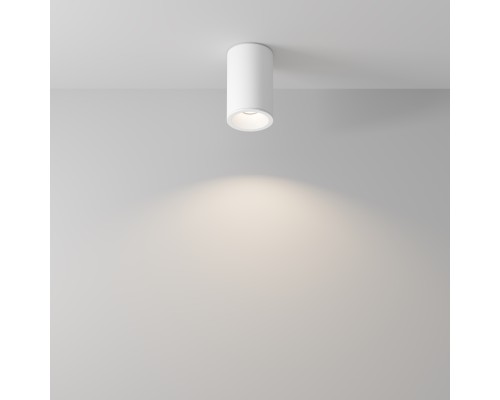 Потолочный светильник Technical C029CL-01-S-W