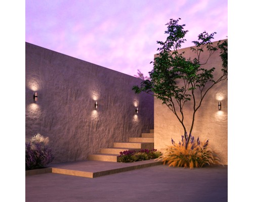 Настенный светильник (бра) Outdoor O582WL-02BS