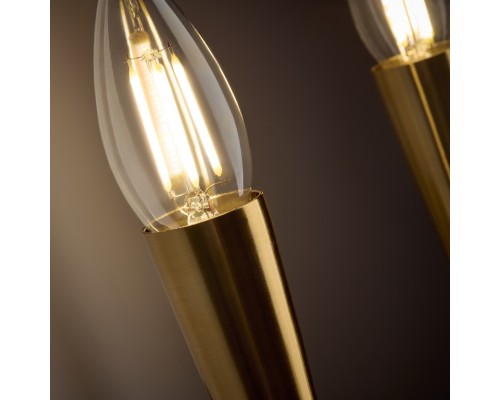 Настенный светильник (бра) Freya FR5253WL-02BS