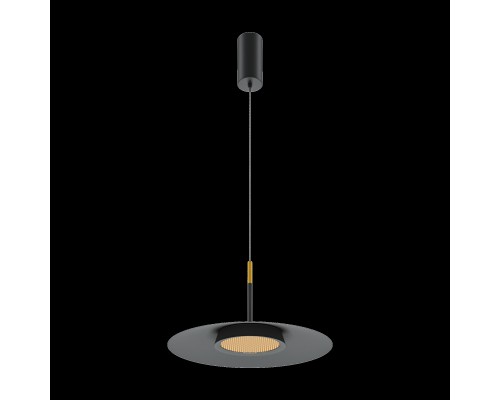 Подвесной светильник Maytoni MOD041PL-L15B3K1