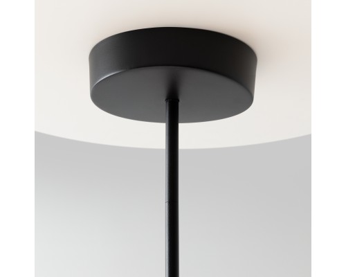 Подвесной светильник Maytoni MOD428PL-L20BK