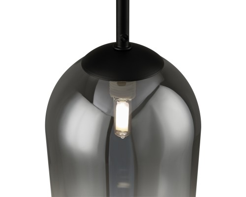 Подвесной светильник Freya FR1011PL-01B2