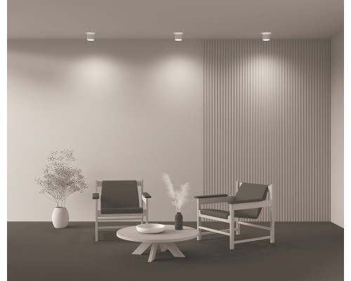 Потолочный светильник Technical C009CW-L12W4K