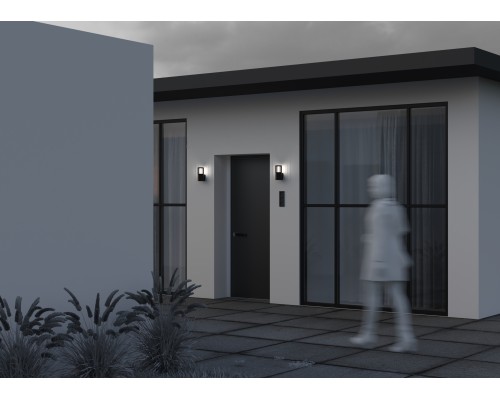 Настенный светильник (бра) Outdoor O492WL-01GF