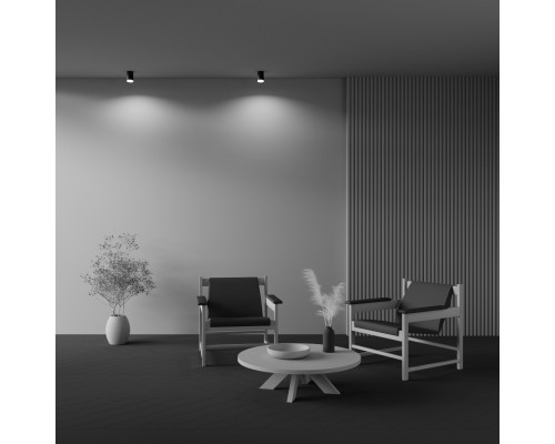 Потолочный светильник Technical C008CW-01B