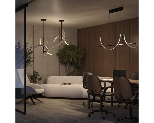 Подвесной светильник Maytoni MOD428PL-L20BK