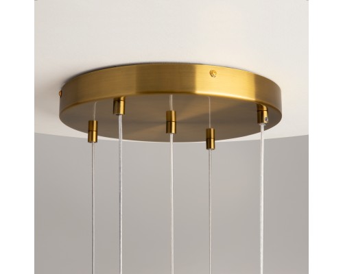 Подвесной светильник Maytoni MOD254PL-05BS