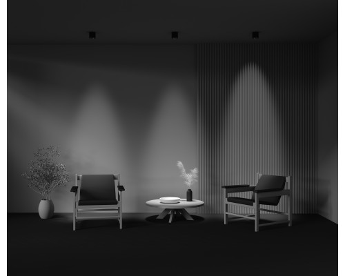 Потолочный светильник Technical C217CL-15W3K-B