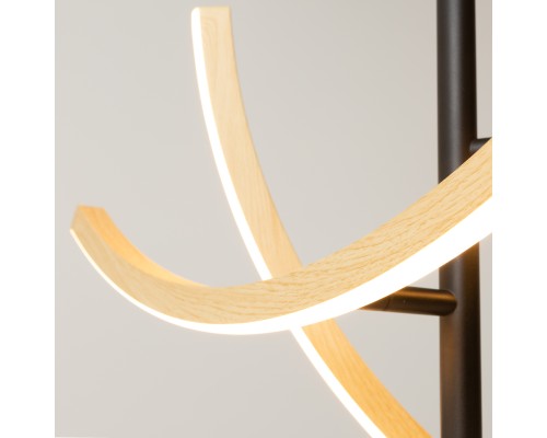 Подвесной светильник Maytoni MOD428PL-L20BK