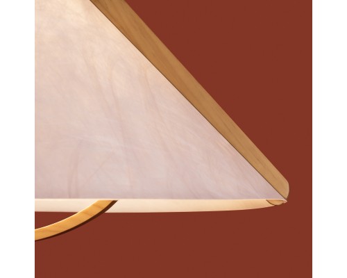 Потолочный светильник Freya FR5554CL-01T