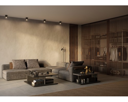 Потолочный светильник Technical C017CL-01B