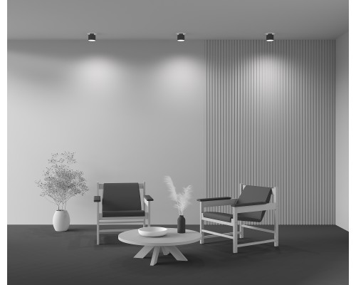 Потолочный светильник Technical C009CW-L12B