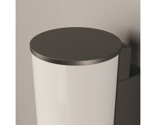 Настенный светильник (бра) Outdoor O434WL-L12GF3K