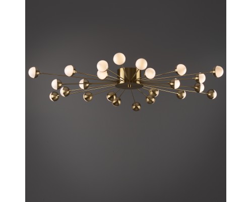 Потолочный светильник Freya FR5242CL-24BS