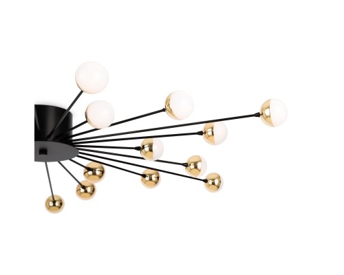 Потолочный светильник Freya FR5242CL-24B