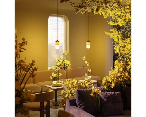 Подвесной светильник Freya FR6134PL-L4G