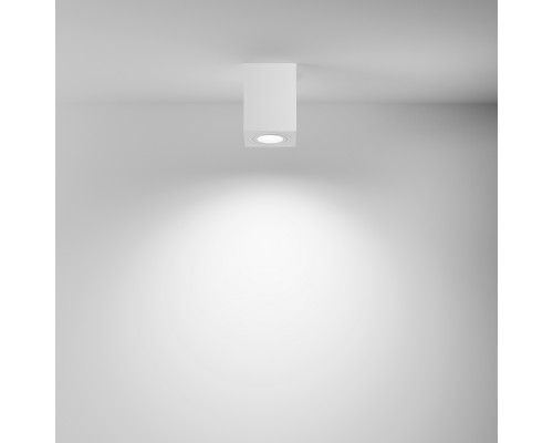 Потолочный светильник Technical C017CL-01W