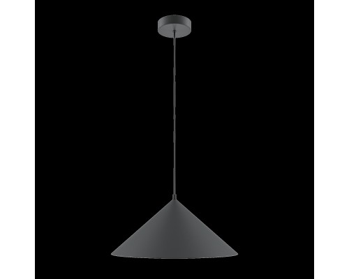 Подвесной светильник Maytoni MOD167PL-01B