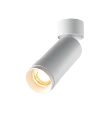 Потолочный светильник Technical C055CL-L12W2.7K-Z-W