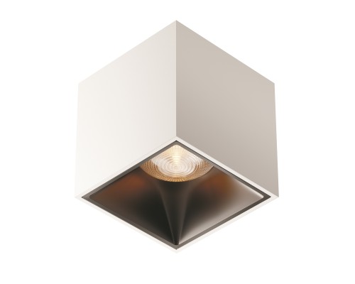 Потолочный светильник Technical C065CL-L12W3K-D