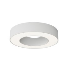 Потолочный светильник Technical C093CL-24W4K-W