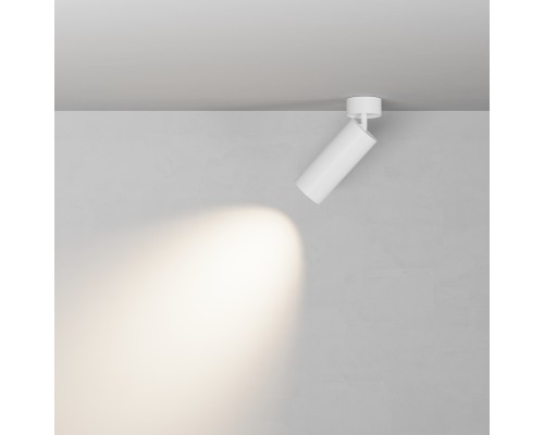 Потолочный светильник Technical C055CL-L20W2.7-3-4K-M-W