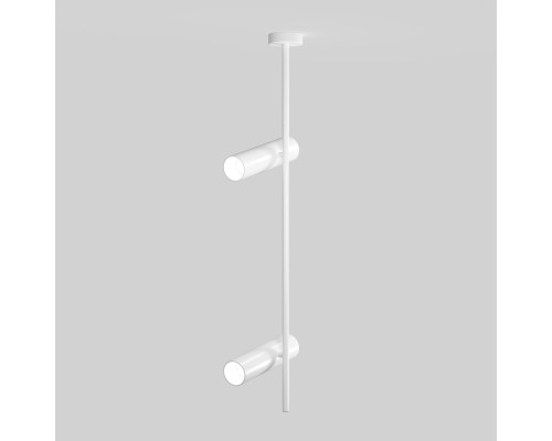 Потолочный светильник Technical C021CL-02W