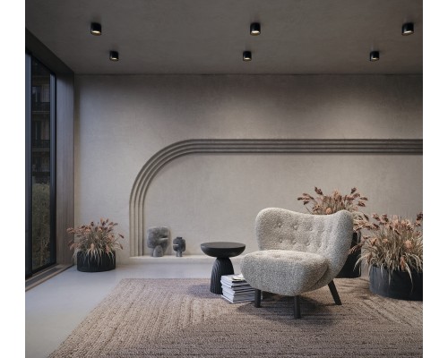 Потолочный светильник Technical C009CW-L12B