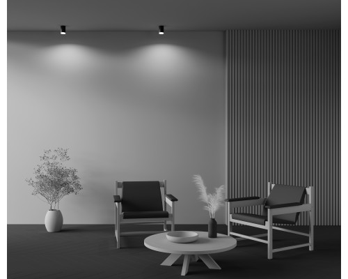 Потолочный светильник Technical C008CW-01B