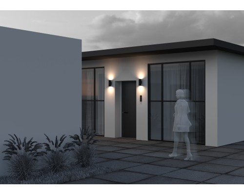 Настенный светильник (бра) Outdoor O303WL-L24GF3K