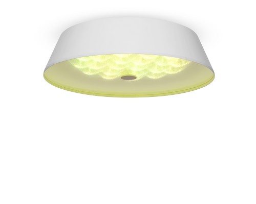 Потолочный светильник Freya FR10013CL-L24W