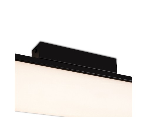 Потолочный светильник Freya FR5625CL-L20B