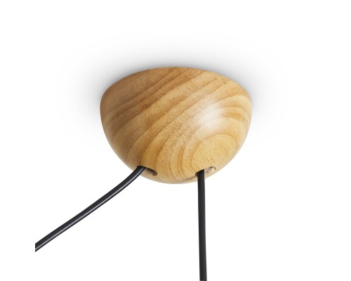 Потолочный светильник Freya FR5554CL-01T