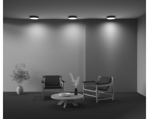 Потолочный светильник Technical C032CL-36W3K-RD-B