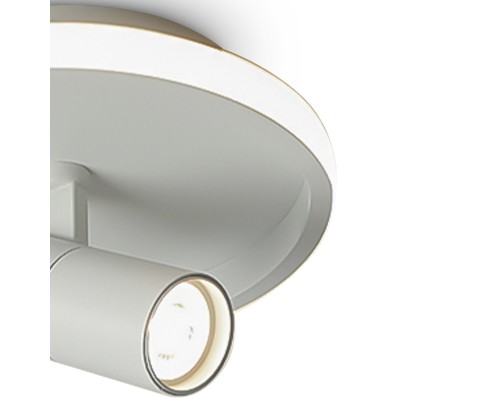 Потолочный светильник Freya FR6040CL-L14W