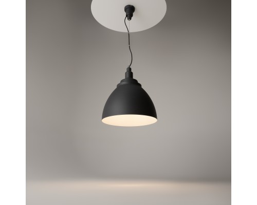 Подвесной светильник Maytoni P535PL-01B