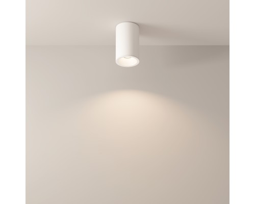 Потолочный светильник Technical C029CL-01-S-W