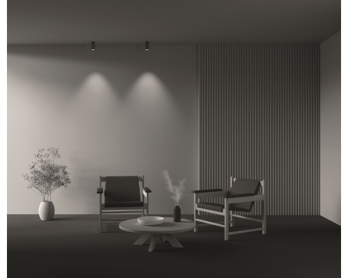 Потолочный светильник Technical C056CL-L12W3K-W-BS