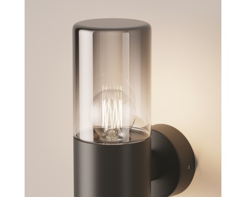 Настенный светильник (бра) Outdoor O432WL-01GF