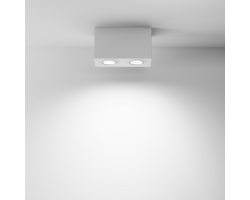 Потолочный светильник Technical C017CL-02W