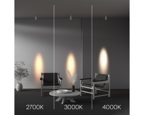 Потолочный светильник Technical C055CL-L12W2.7K-SS-W