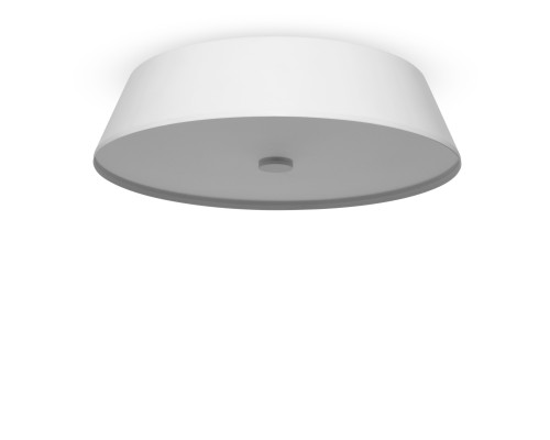 Потолочный светильник Freya FR10013CL-L24W