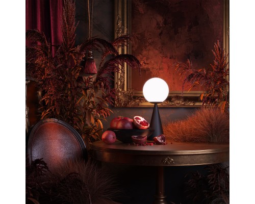 Настольный светильник Freya FR5289TL-01B