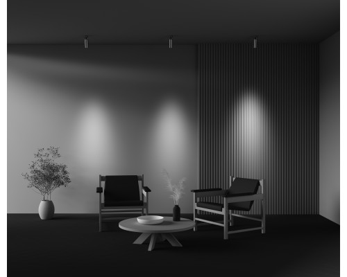 Потолочный светильник Technical C055CL-L12W2.7K-W-PT