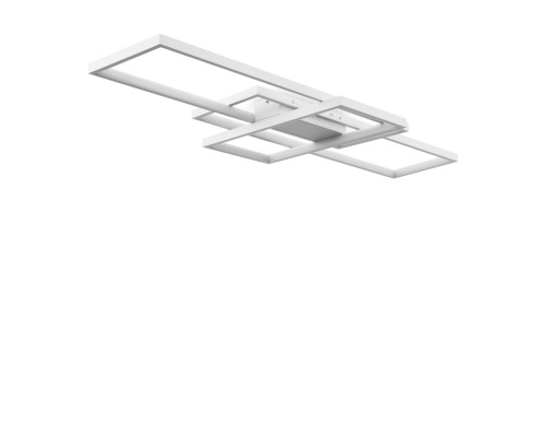 Потолочный светильник Freya FR10021CL-L66W