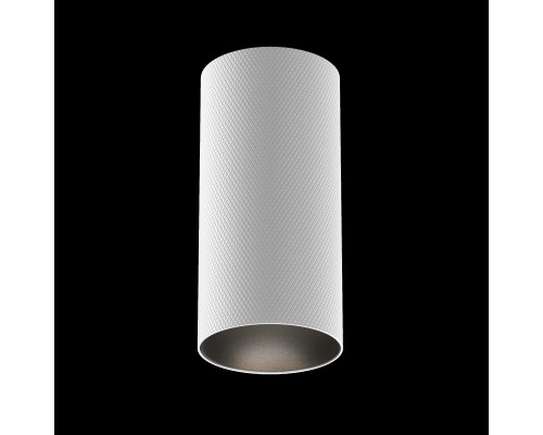 Потолочный светильник Technical C080CL-01-GU10-W